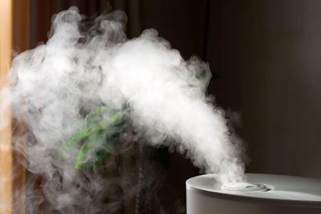 Enhancing Indoor Air Quality: The Role of Humidifiers in Baltimore Homes